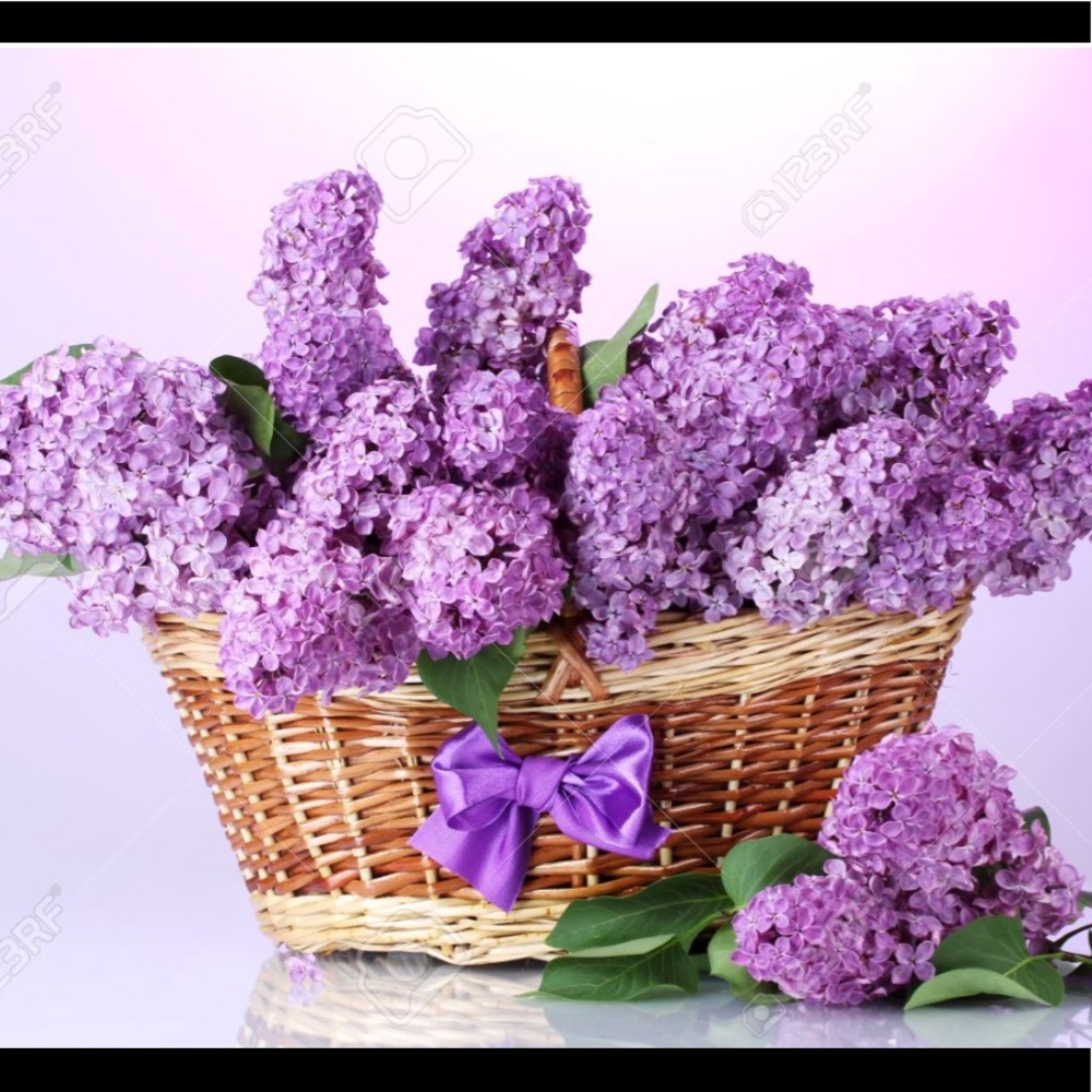 Meet your Posher, Oxana